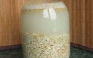 Овсяный кисель полезные свойства рецепты