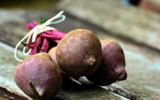 Свекла сырая или вареная?! Вопрос, который мучает многих