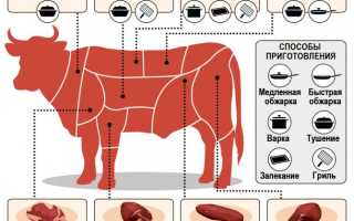 Как приготовить сочный бифштекс из свинины