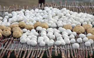 Что это такое курут: польза и вред, рецепт приготовления