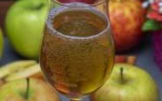 Яблочный сидр в домашних условиях — рецепты приготовления