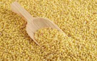 Из чего делают пшено и почему оно так полезно: лучшие злаки и крупы