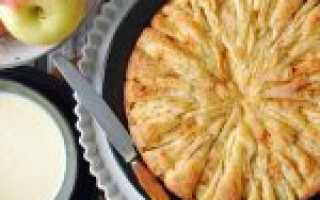 Шарлотка в мультиварке «Поларис»: рецепты приготовления с яблоками и грушами