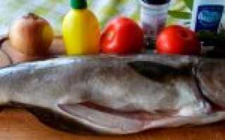 Рыба сайда — виды и калорийность. Польза и вред рыбы сайда