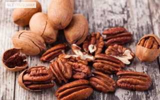 Орех пекан: калорийность, вред и польза для организма