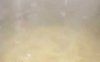 Паста с кальмарами — 8 рецептов приготовления