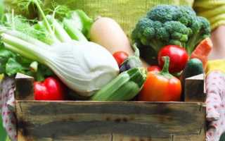 Раздельное питание — ЛЖЕдиета для похудения: за и против, мифы, отзывы врачей и результаты похудевших