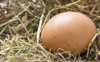 Польза и вред от яичного белка для здоровья