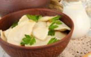 Готовим вареники с творогом в домашних условиях — рецепты вареников и начинок