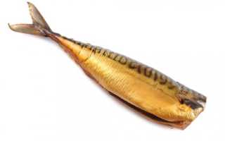 Скумбрия копченая в домашних условиях. Скумбрия горячего копчения «Как из Магазина» в мультиварке.