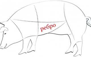 Шашлык из антрекота из свинины – как лучше замариновать