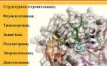 Что съесть на ужин, чтобы похудеть? Белковое меню для фигуры