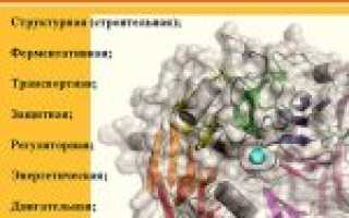 Что съесть на ужин, чтобы похудеть? Белковое меню для фигуры