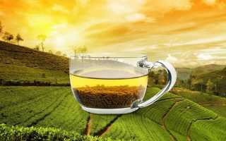 Белоголовник – польза и вред