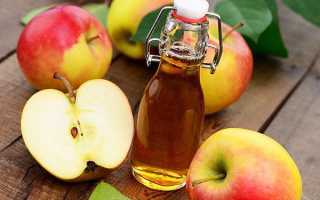 Яблочный уксус с медом, или Как приготовить элексир красоты