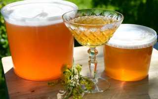 Донниковый мед – как отличить от подделки и правильно применять уникальный продукт?