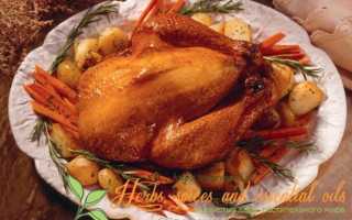 Лучший гарнир к утке с яблоками. Гарнир к утке, запеченной в духовке по-пекински и с фруктами: интересные рецепты