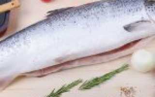 Уха из головы и хвоста семги: рецепты с фото