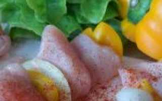 Лучшие рецепты маринада для шашлыка из курицы