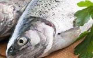 Главный источник омега 3 и 6 жирных кислот — Рыба