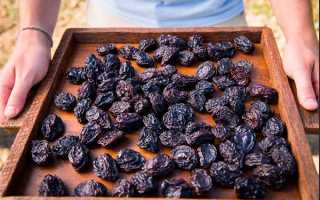 Калорийность Чернослив (слива сушеная). Химический состав и пищевая ценность.