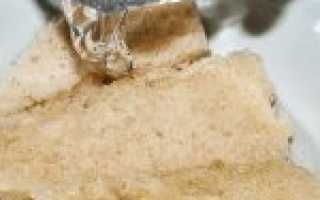 Котлеты из фарша говядины. Рецепт, как приготовить пошагово с фото