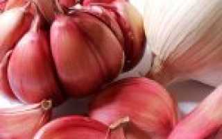 Чеснок при сахарном диабете 2 типа: можно ли есть чеснок и лук диабетикам