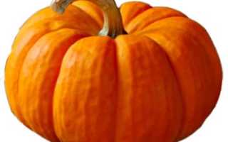 Тыква польза и вред для здоровья организма человека