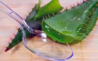 13 комнатных растений, которые полезно держать дома