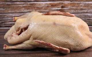 Маринад для индоутки в духовке. Индоутка в духовке — простые и вкусные рецепты