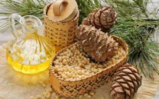 Масло кедровое: польза и противопоказания для организма