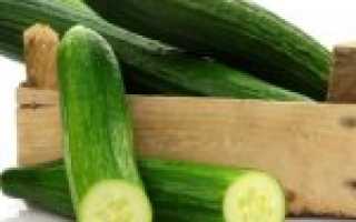 Огурец — одна из древнейших культур на планете
