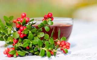 Приготовление чая с листьями брусники и его свойства