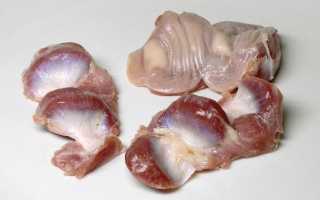 Куриные желудки: польза, вред, состав и калорийность