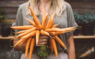 Диетологи назвали пять хитростей, как начать есть больше овощей и фруктов