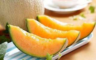 Дыня калорийность на 100 грамм, вред, польза