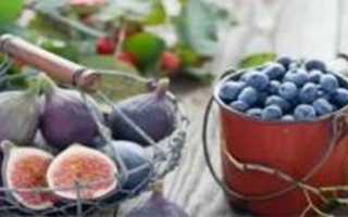 Folia Fici caricae — листья смоковницы обыкновенной (инжира)